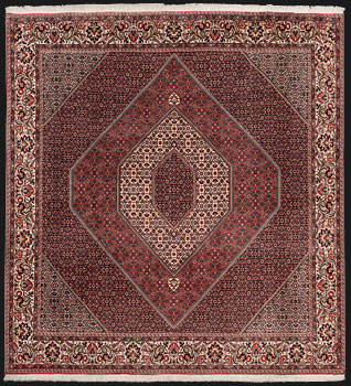 Bidjar - Persien - Größe 270 x 253 cm
