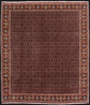 Bidjar - Persien - Größe 305 x 263 cm