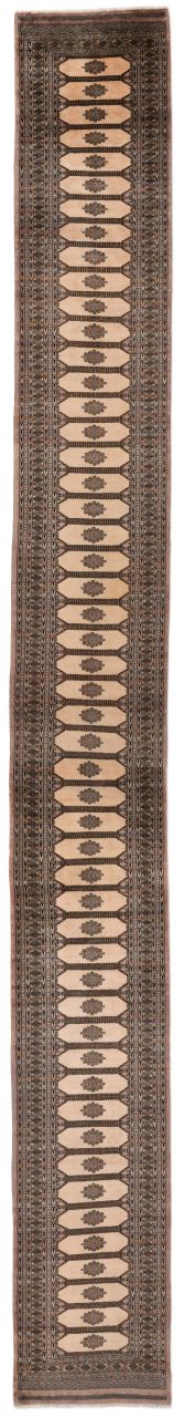 Bild eines Bochara aus Pakistan in der Göße 862 x 98 cm