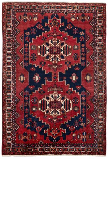 Bild von Bachtiar aus Persien in der Größe 303 x 208 cm