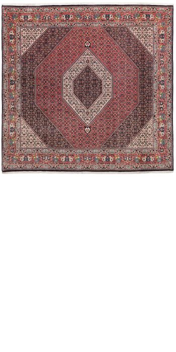 Bild von Bidjar aus Persien in der Größe 253 x 248 cm