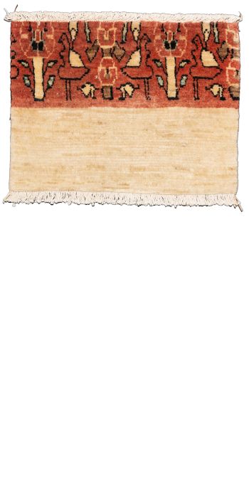 Bild von Bidjar-Novum aus Persien in der Größe 30 x 40 cm