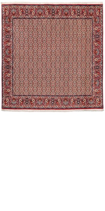 handgeknüpfter Orienteppich Bidjar aus Persien Maß 253x246 cm