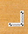 handgeknüpfter Orienteppich Bidjar-Gerus aus Persien Maß 251x155 cm