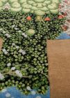handgeknüpfter Orienteppich Eterno-Princess Pea aus Indien Maß 180x120 cm